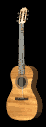 acousticBLK.gif (6834 bytes)